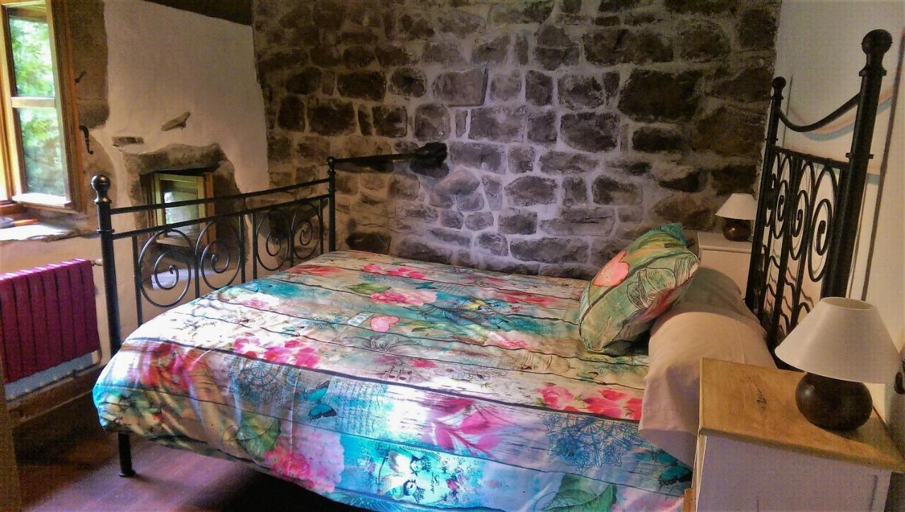 Pidream Cottage . Cabanas De Pisuena Selaya Exteriér fotografie